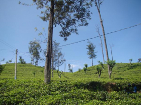  Ella Tea Land View  Элла